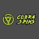 Cobra Spins Casino Review