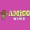 Amigo Wins Casino Review