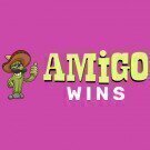 Amigo Wins Casino Review